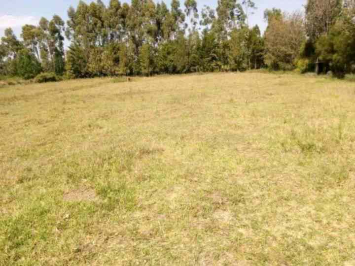 4 acre land for sale in nanyuki katheri wdlc1