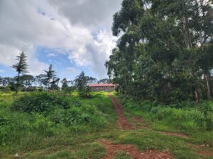 1 Acre Plot For Sale in Nairobi Look 3