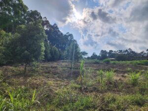 1 Acre Plot For Sale in Nairobi Look 2