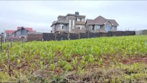 PLOT FOR SALE IN KAJIADO COUNTY LOOK 2