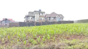 PLOT FOR SALE IN KAJIADO COUNTY LOOK 3