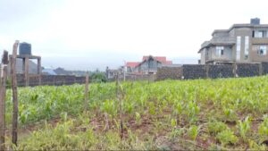 PLOT FOR SALE IN KAJIADO COUNTY LOOK 4