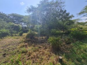 Land for sale in Muranga