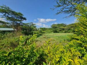 Land for sale in Muranga