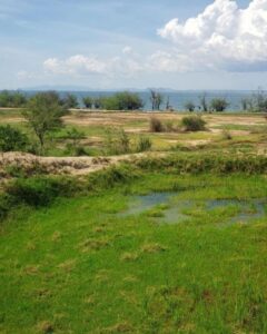 land for sale in Kenya