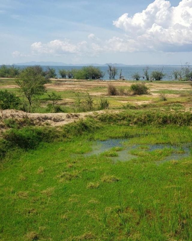 land for sale in Kenya