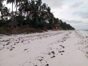 Beach plot for sale in Mombasa