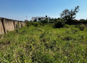 Land for sale in Naivasha