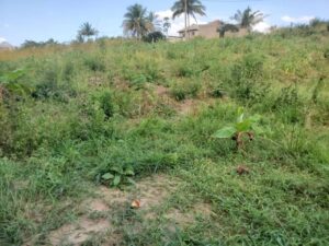 Land for sale in Kilifi