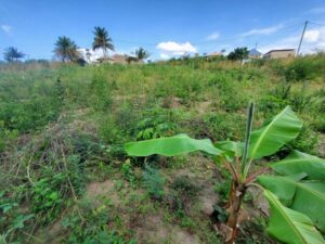 Land for sale in Kilifi