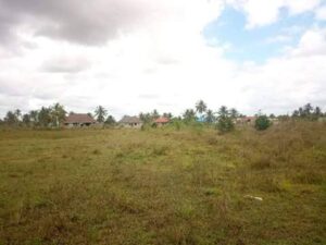 Plot for sale in Homa Bay