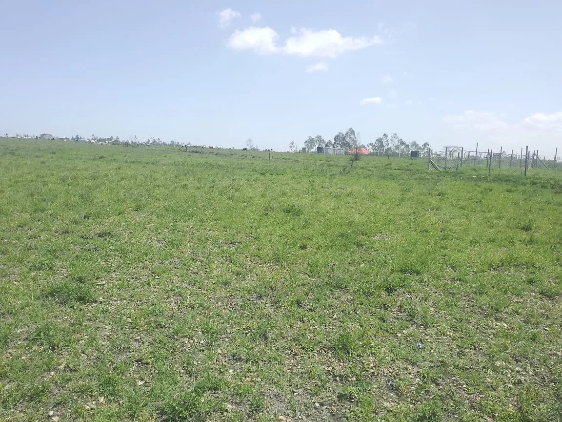 Land for Sale in Kitengela