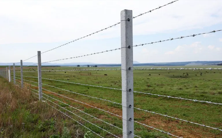 Plots for Sale in Ngong