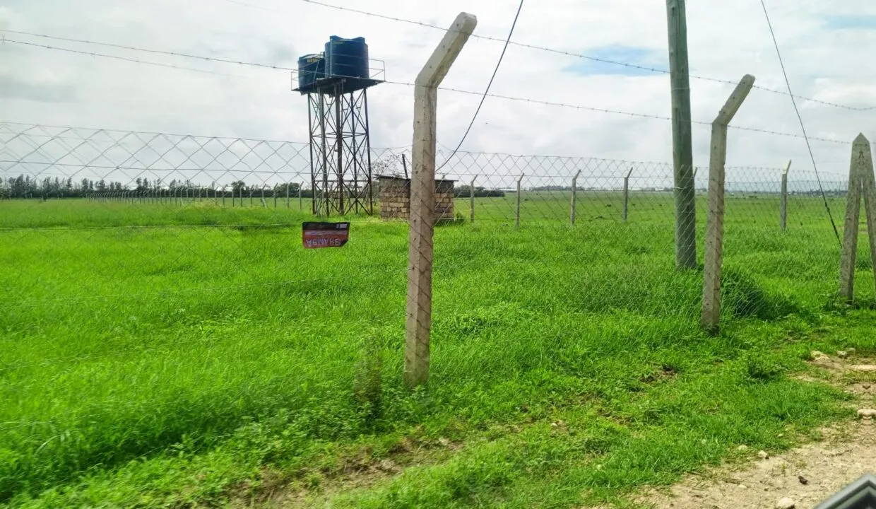 Plot for Sale Kitengela