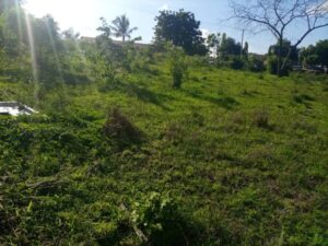 Land for sale in Bungoma