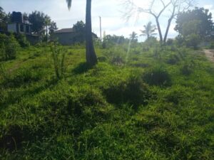 Land for sale in Bungoma