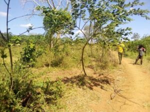 Land for sale in Muranga