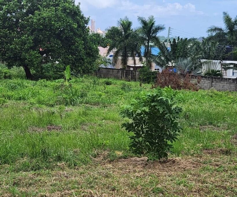 Plot for sale in Malindi