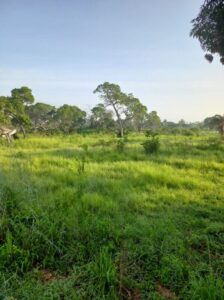 Land for sale in Kilifi