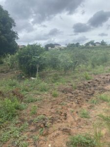 Plot for sale in Murunga