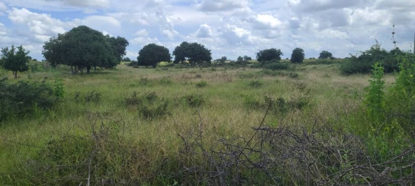 Land for sale at Kericho