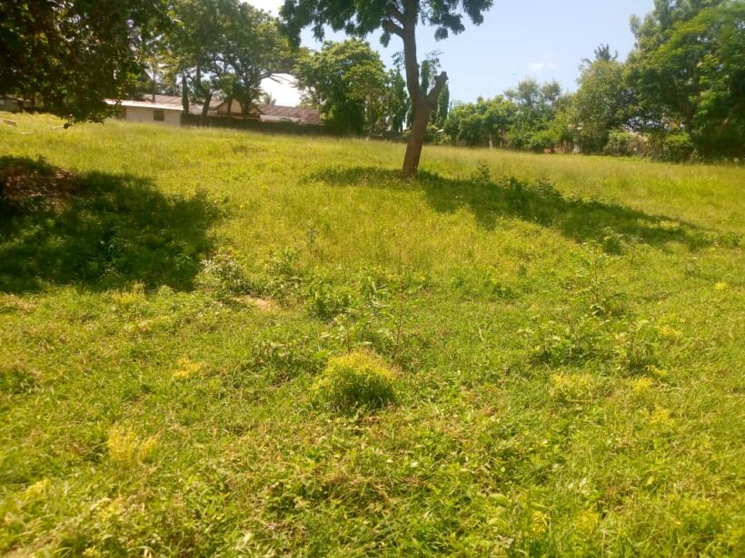 Plot for sale in Kajiado