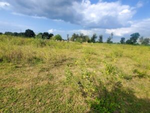 Land for sale in Machakos