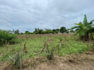 LAND FOR SALE IN NYANDARUA