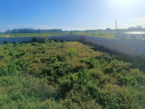 Land for sale in Kilinyaga