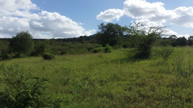 Land for sale in Naivasha