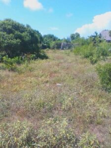 Plot for sale in Kiambu