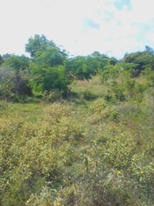 Plot for sale in Kiambu