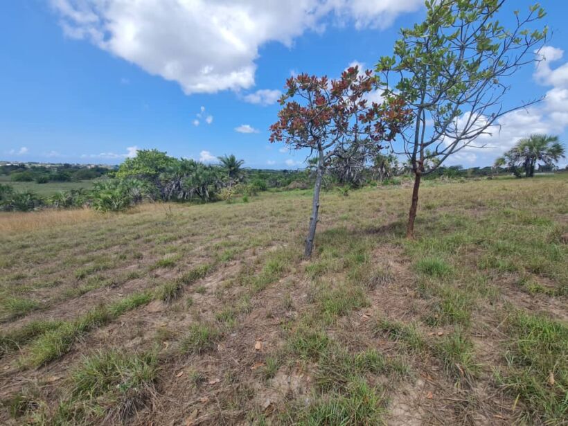 Plot for sale in Nyeri