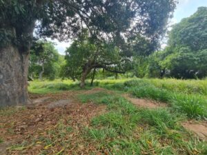 Land for sale in Nakuru, Naivasha