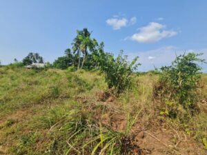 PLOT FOR SALE IN MALINDI