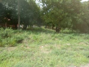 Plot for sale in Kajiado