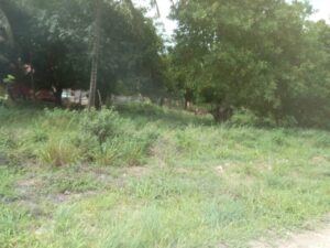 Plot for sale in Kajiado