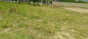 Land for sale at Kilifi