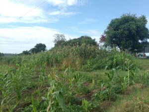 LAND FOR SALE IN KIAMBU