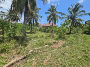 PLOT FOR SALE AT KILIFI