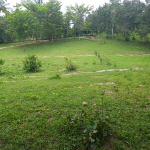 PLOT FOR SALE IN KIAMBU