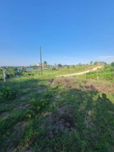 PLOT FOR SALE IN KIKUYU