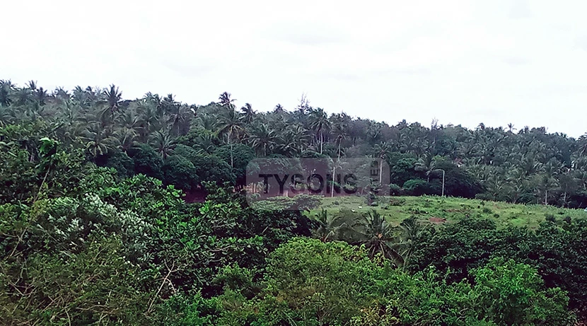 beach plots for sale in Kilifi