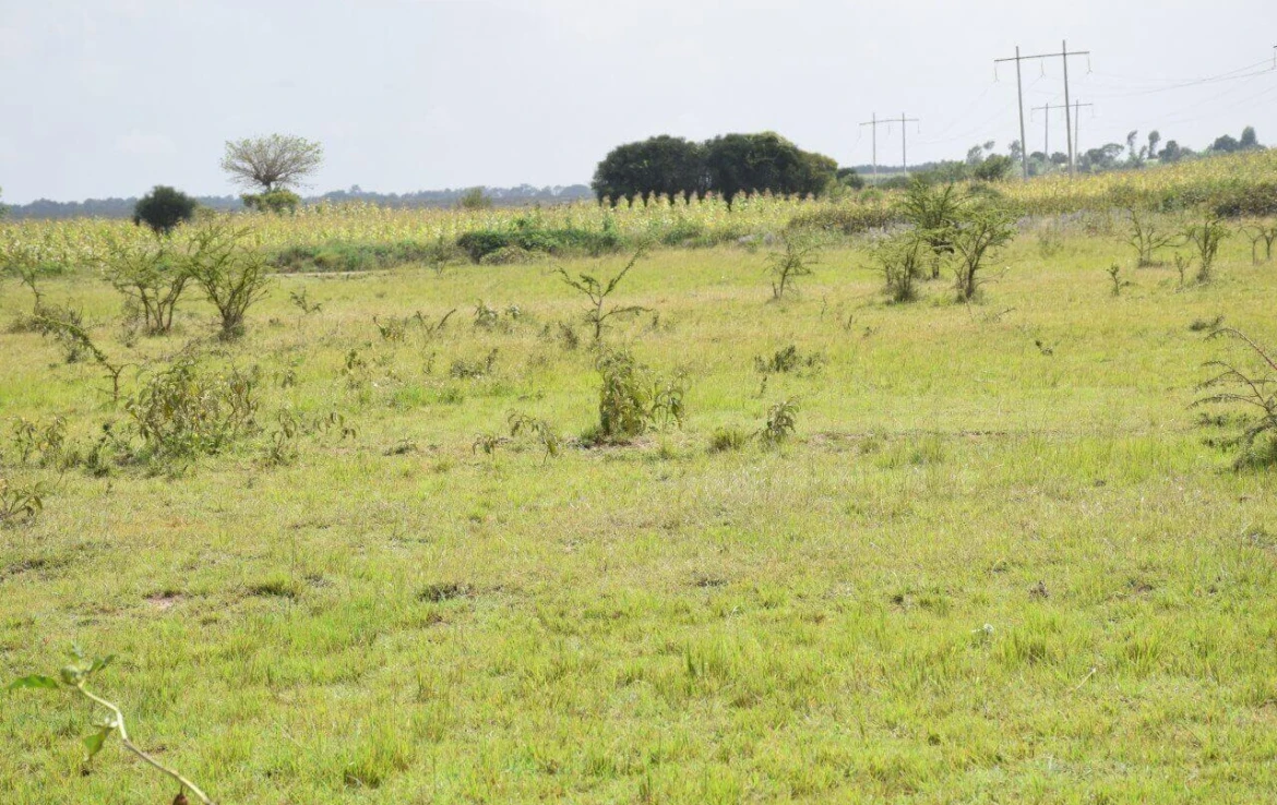 Farmland for sale in Muranga