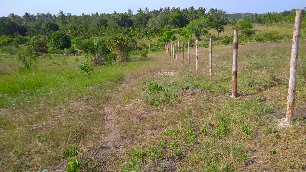 Affordable plots for sale in Diani