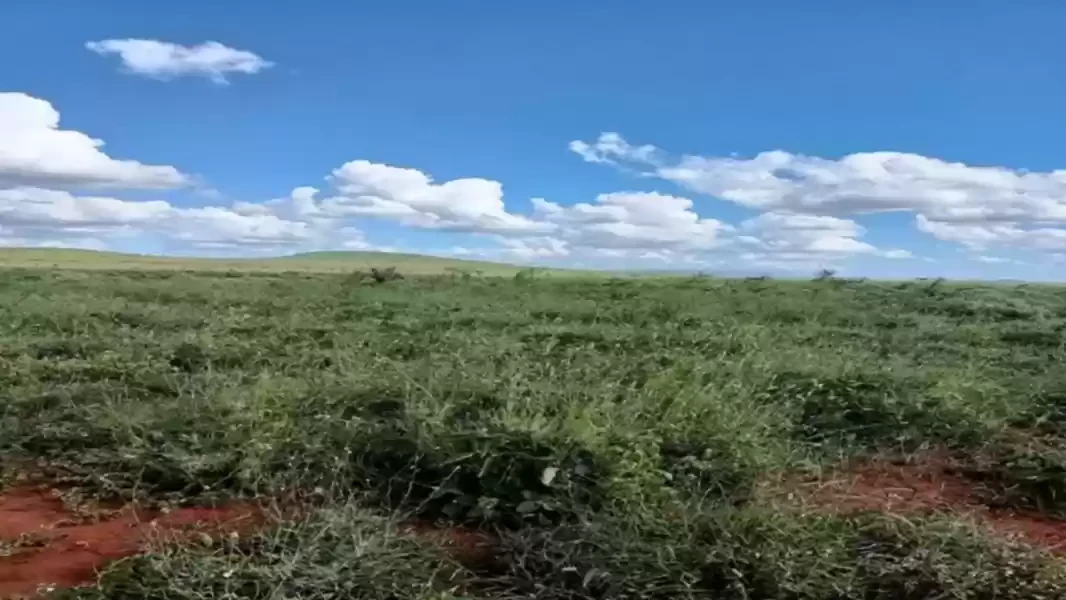 Loitokitok land for sale