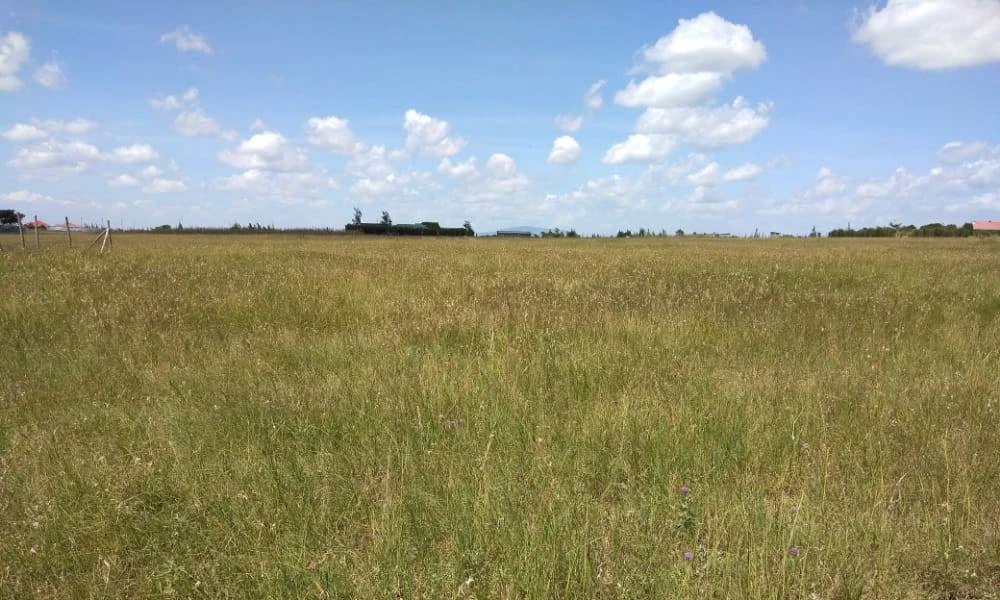 Land for sale in Joska
