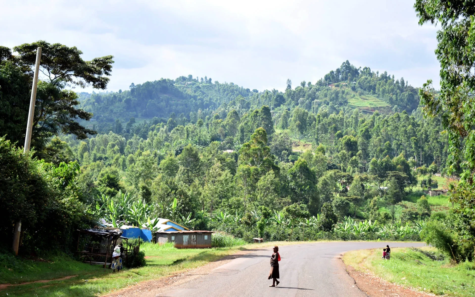 Prime Muranga land/plots for sale