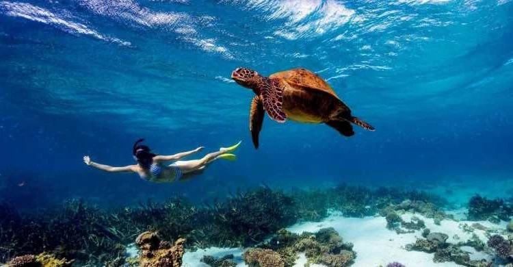 Things to do in Diani Beach