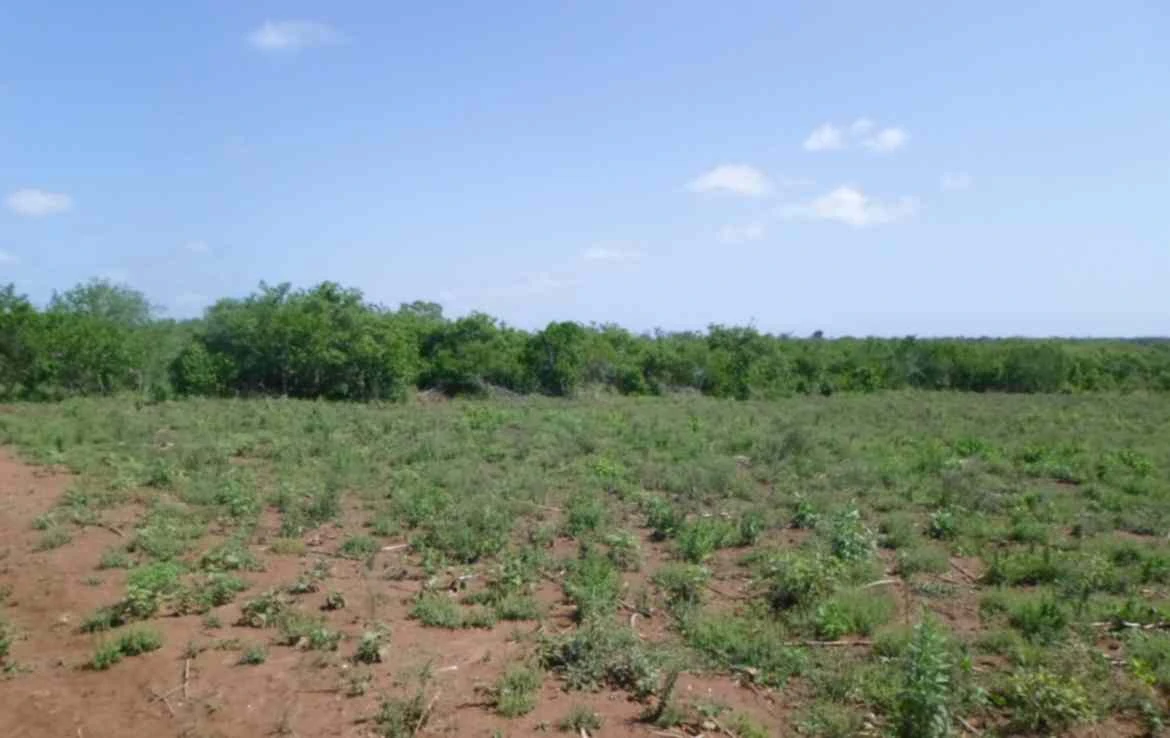 Prime land for sale in Marereni